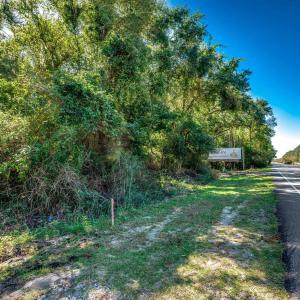 View of asphalt street with a view of trees