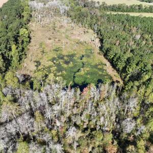 Photo #12 of Law Rd, Pinewood, SC 235.0 acres