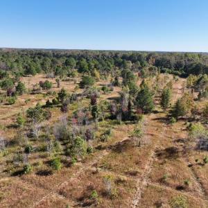 Photo #23 of Law Rd, Pinewood, SC 235.0 acres