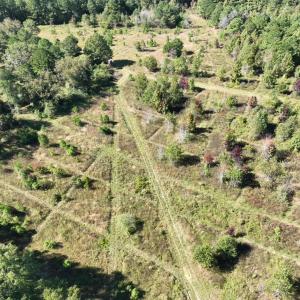 Photo #5 of Law Rd, Pinewood, SC 235.0 acres