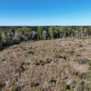 Photo #13 of Law Rd, Pinewood, SC 235.0 acres