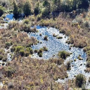 Photo #11 of Law Rd, Pinewood, SC 235.0 acres