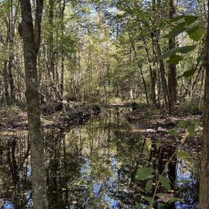 Photo #2 of Law Rd, Pinewood, SC 235.0 acres