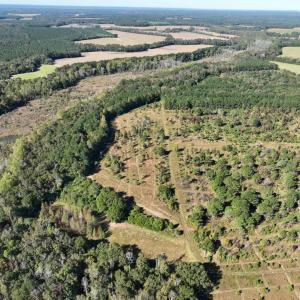 Photo #1 of Law Rd, Pinewood, SC 235.0 acres