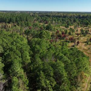 Photo #22 of Law Rd, Pinewood, SC 235.0 acres