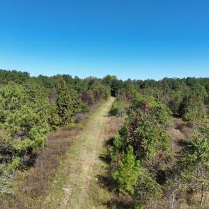 Photo #6 of Law Rd, Pinewood, SC 235.0 acres