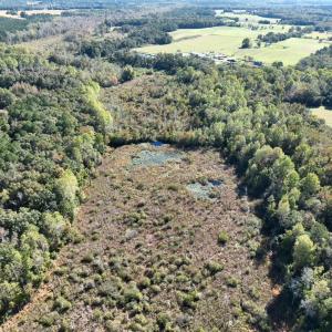 Photo #14 of Law Rd, Pinewood, SC 235.0 acres
