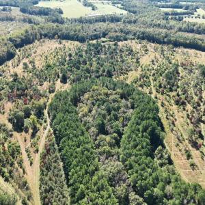 Photo #19 of Law Rd, Pinewood, SC 235.0 acres