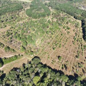 Photo #18 of Law Rd, Pinewood, SC 235.0 acres