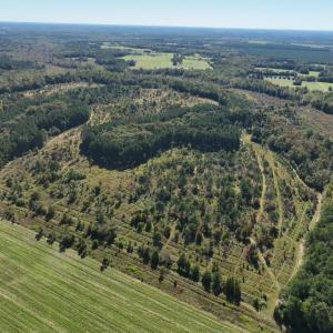 Photo #20 of Law Rd, Pinewood, SC 235.0 acres
