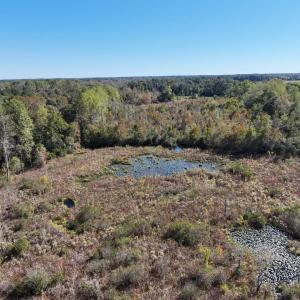 Photo #10 of Law Rd, Pinewood, SC 235.0 acres