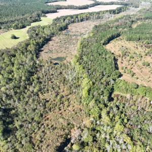 Photo #16 of Law Rd, Pinewood, SC 235.0 acres