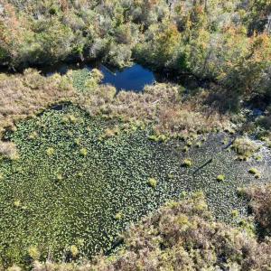 Photo #7 of Law Rd, Pinewood, SC 235.0 acres