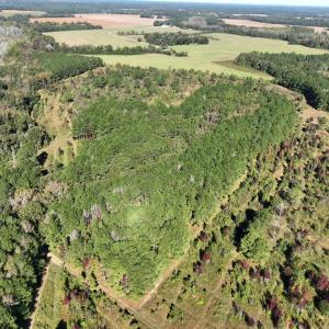 Photo #17 of Law Rd, Pinewood, SC 235.0 acres