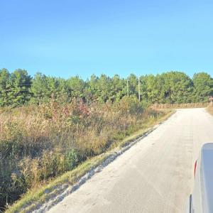 View of dirt / gravel road with a view of trees