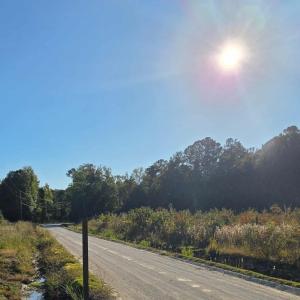 View of dirt / gravel road