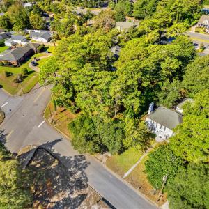 Aerial view of residential area with a tree filled