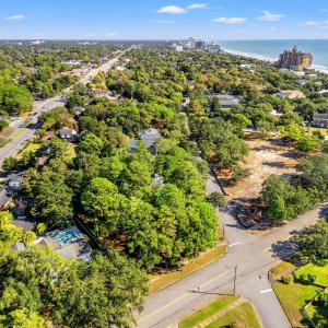Aerial view of a nearby body of water and a tree f