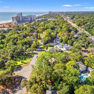 Aerial view of a nearby body of water and a tree f