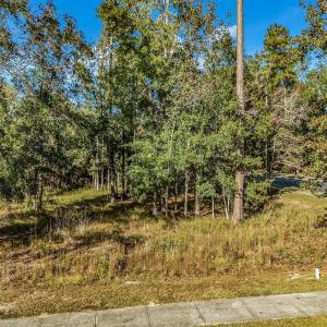 View of undeveloped land