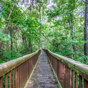 Photo #37 of 800 Jeter Ln., Myrtle Beach, SC 0.3 acres