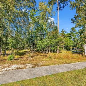 View of yard featuring view of wooded area