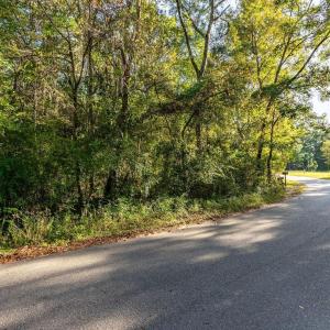 Photo #13 of TBD Barnes Rd., Andrews, SC 1.0 acres