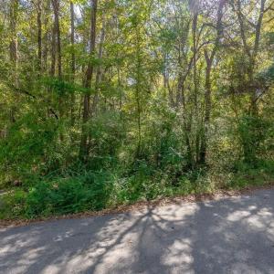 Photo #16 of TBD Barnes Rd., Andrews, SC 1.0 acres