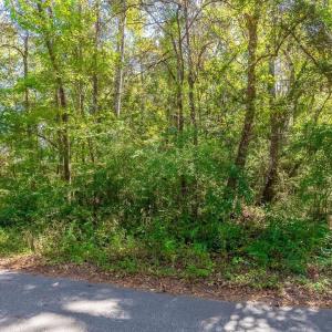 Photo #14 of TBD Barnes Rd., Andrews, SC 1.0 acres