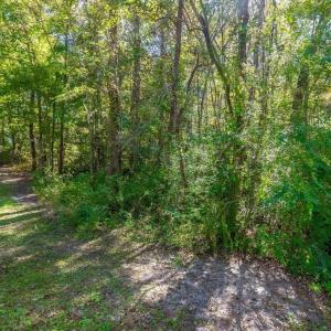 Photo #15 of TBD Barnes Rd., Andrews, SC 1.0 acres