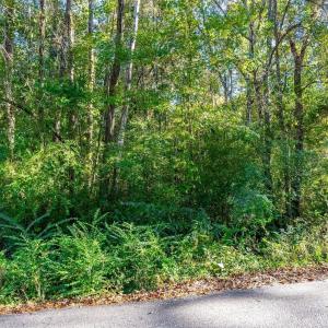 Photo #12 of TBD Barnes Rd., Andrews, SC 1.0 acres
