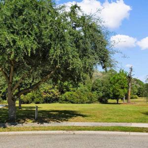 View of community with a yard