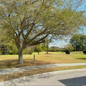 View of home's community with a lawn