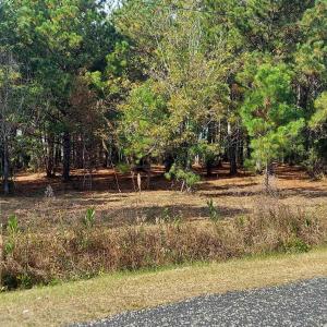 View of asphalt road