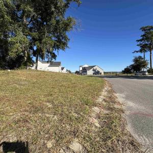 Photo #10 of Lot 161 Seaport Circle, Georgetown, SC 0.3 acres