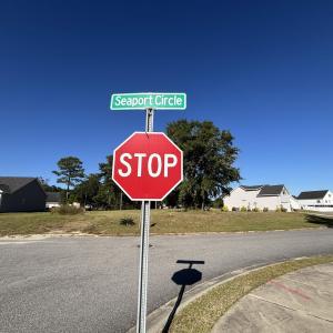 Photo #20 of Lot 161 Seaport Circle, Georgetown, SC 0.3 acres