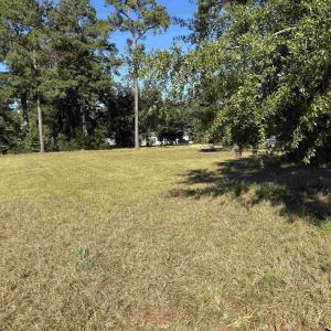 Photo #17 of Lot 161 Seaport Circle, Georgetown, SC 0.3 acres