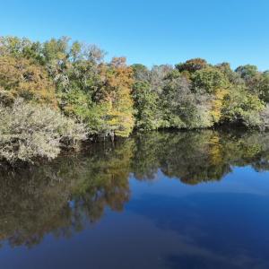 Photo #1 of Martin Luther King Jr. Hwy., Kingstree, SC 141.0 acres