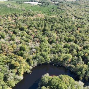 Photo #3 of Martin Luther King Jr. Hwy., Kingstree, SC 141.0 acres