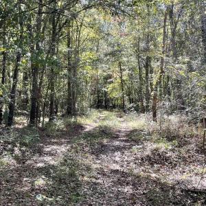 Photo #6 of Martin Luther King Jr. Hwy., Kingstree, SC 141.0 acres