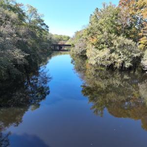 Photo #2 of Martin Luther King Jr. Hwy., Kingstree, SC 141.0 acres