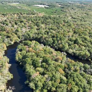 Photo #4 of Martin Luther King Jr. Hwy., Kingstree, SC 141.0 acres