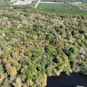 Photo #3 of Martin Luther King Jr. Hwy., Kingstree, SC 141.0 acres