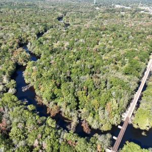 Photo #5 of Martin Luther King Jr. Hwy., Kingstree, SC 141.0 acres