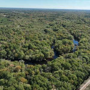 Photo #7 of Martin Luther King Jr. Hwy., Kingstree, SC 141.0 acres