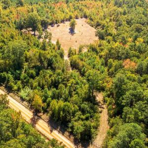 Drone / aerial view of a forest