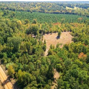 Bird's eye view of a heavily wooded area