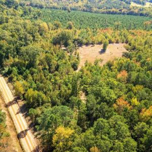 Bird's eye view of a heavily wooded area