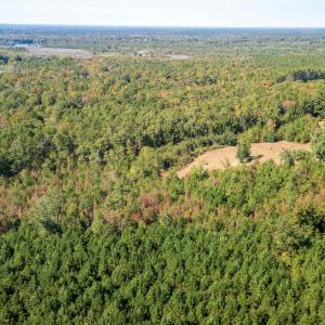 View of property location with a heavily wooded ar