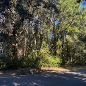 View of undeveloped land with a nearby body of wat